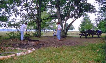 Oak Site 1