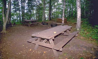 Oak Site 4
