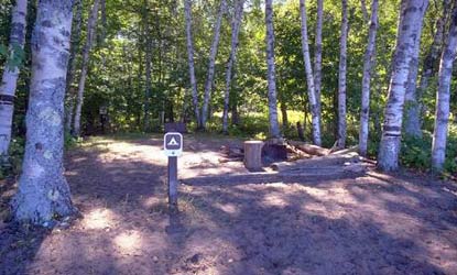Oak Site 6