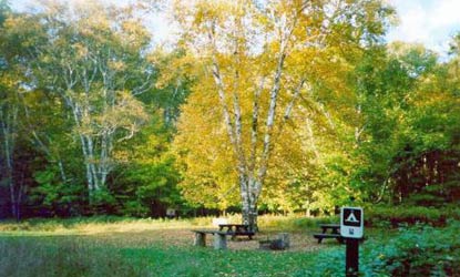 Oak Site B
