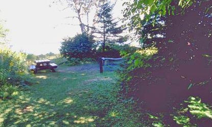 Otter Site 1