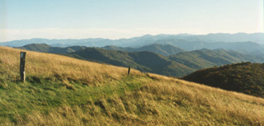 Max Patch, North Carolina