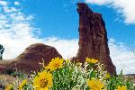 Mules Ears and Courthouse Towers