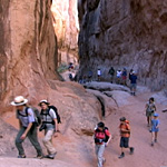 Fiery Furnace Guided Walk