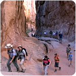 Fiery Furnace Guided Walk