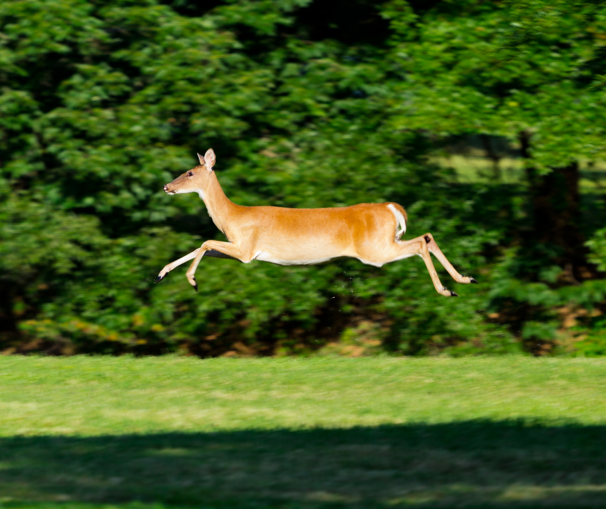 2013 Digital Photography Contest Grand Prize Winner Anthony Glover