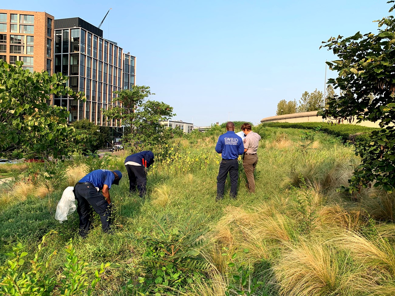 Southwest Business Improvement District staff meet with National Mall park rangers to identify areas of work for an upcoming service day.