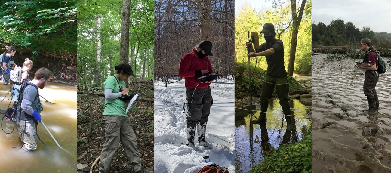 Field crews monitoring natural resources in the National Capital Region Network.