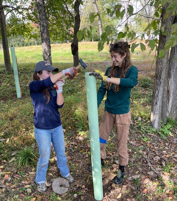 CCCC Interns with Tree