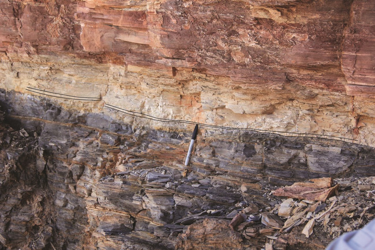 Photo of rock outcrop showing details of rock layers.