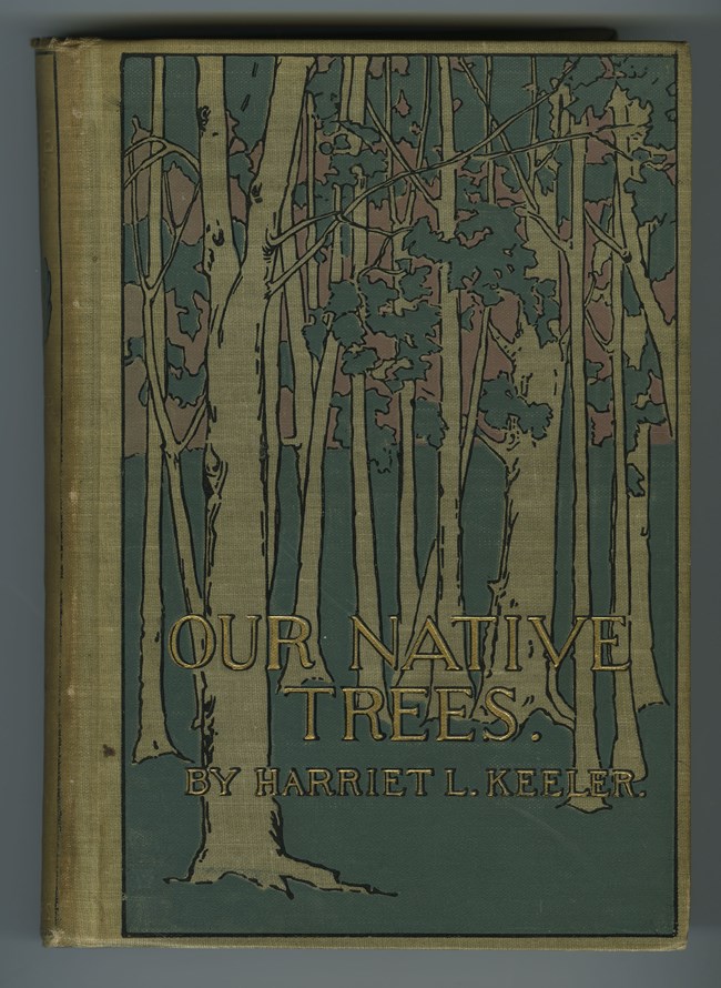 Cover illustration of tree trunks growing close together. Colors are olive and sage greens with black outlines and gold text. The simplified, natural shapes are in an Art Nouveau style.