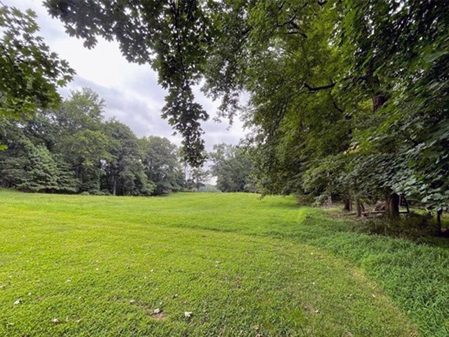 View across a manicured greenspace lined with trees with leafy branches overhead and grey clouds in the distance.