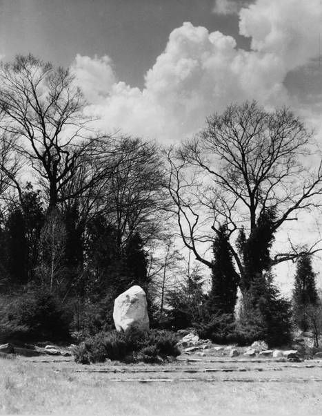 Black and white photo of an open area surrounded by tall trees, some evergreen columns and others with bare branches. In the middle stands a tall, white boulder circled by evergreen shrubs and a pattern of low rock borders.
