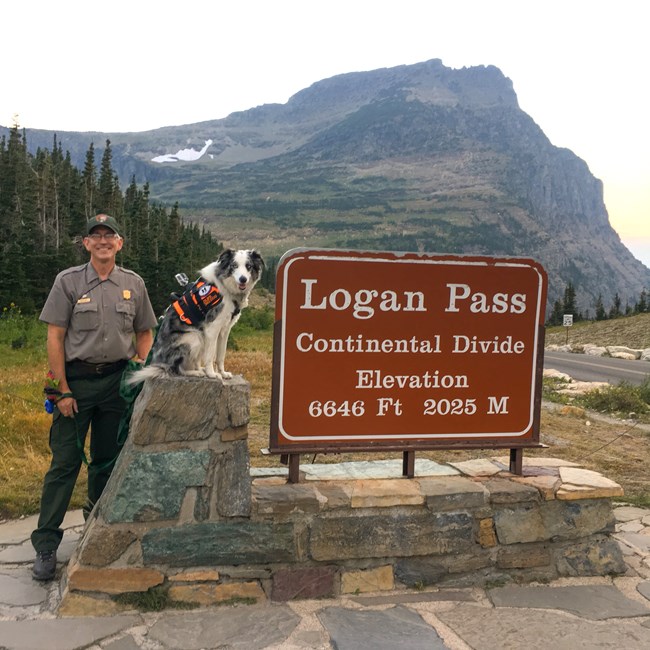 Uniformed ranger and dog pose next to sign for Logan Pass