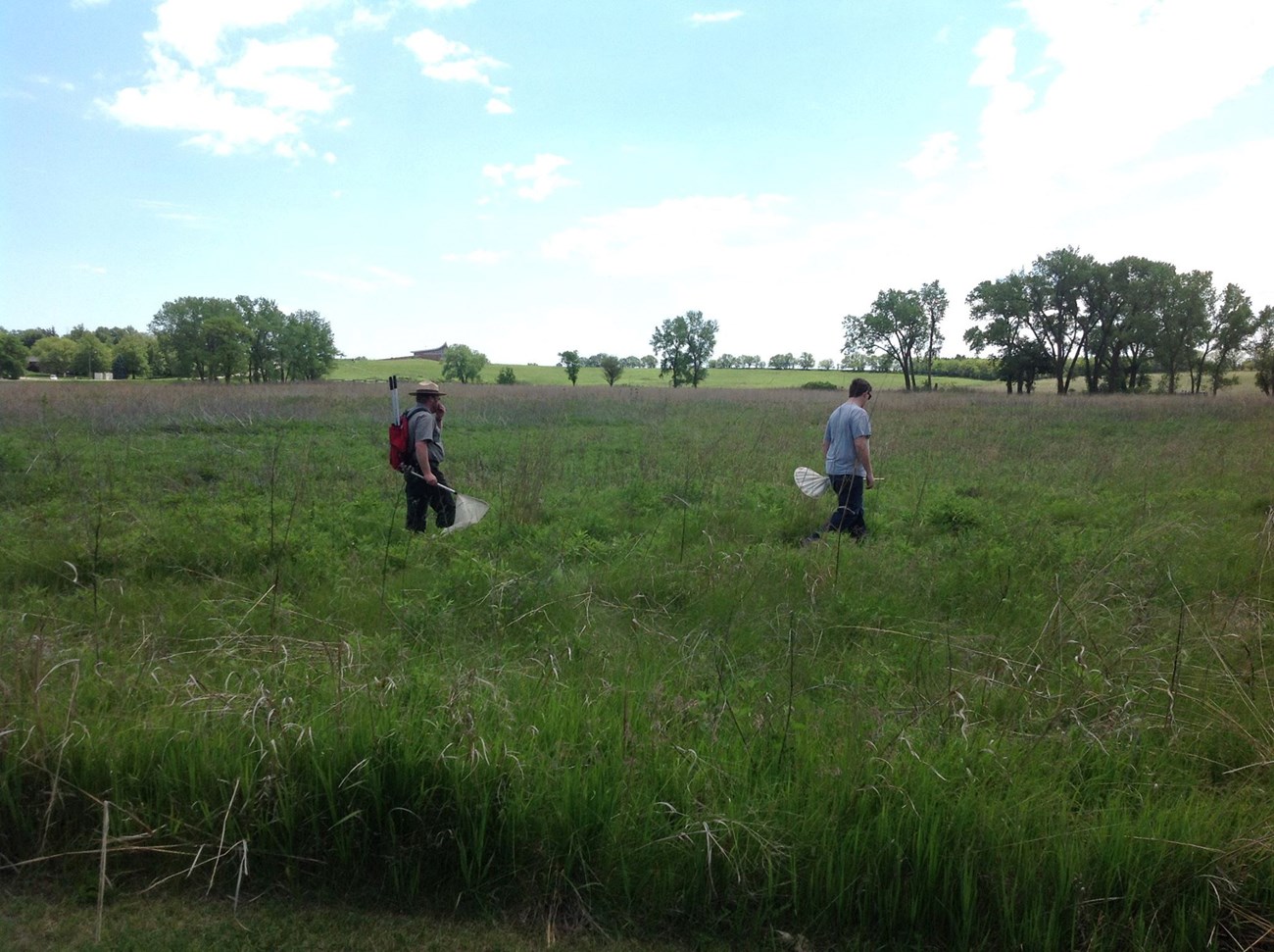 Ranger and a teenager walk through prairie with nets