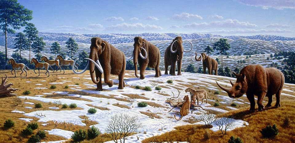 A drawing of the ice age megafauna that roamed Alaska.