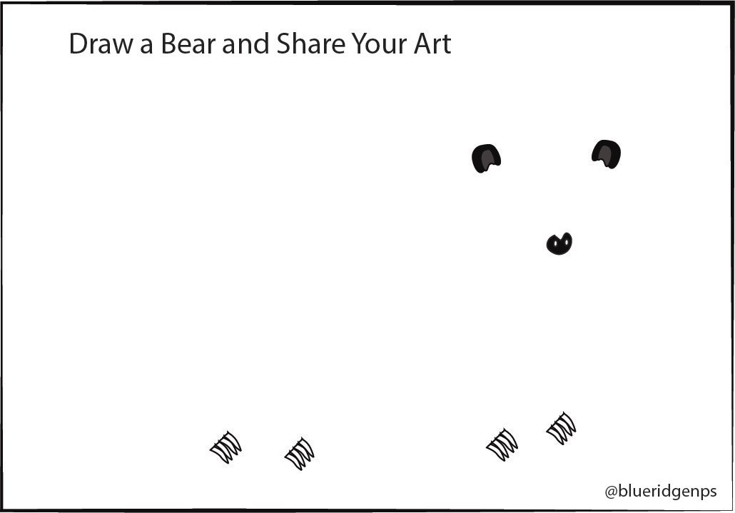 A page to draw on that has the ears, nose, eyes, and claws of a black bear.