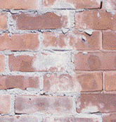 Poor pointing Brick wall