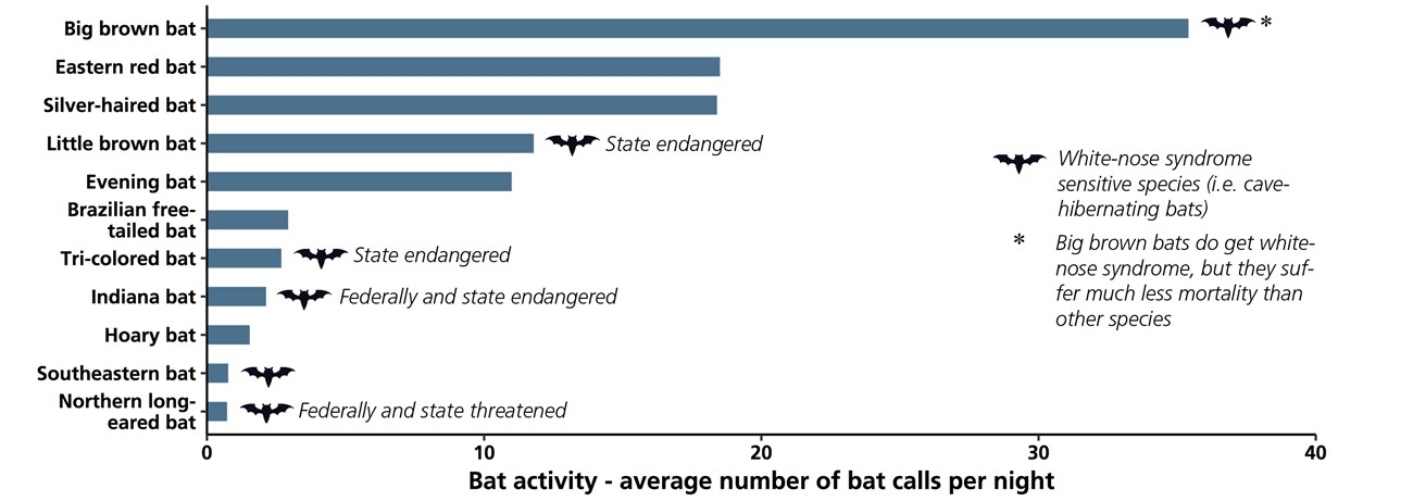 Bar chart showing bat species activity based on the number of recorded bat calls in the park.