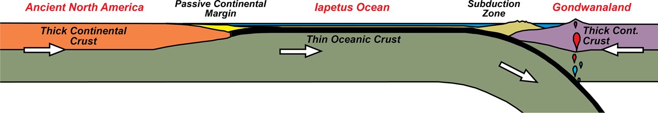 diagram of oceanic crust being subducted under continental crust