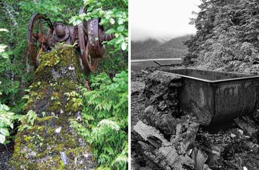 Composite of two images. Left: rusted metal with wheels in ferns. Right: Black and white vat in intertidal area.