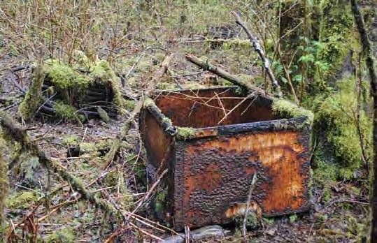 Rusted, moss-covered metal box.