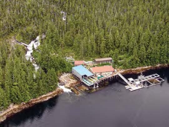 Aerial view of buildings and pier on the shore with forest behind them.