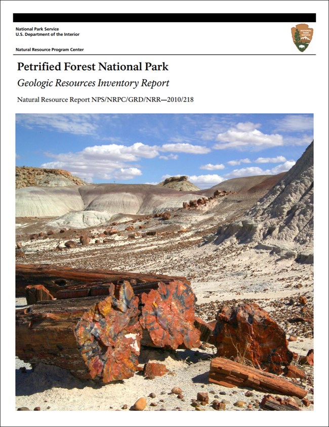 image of petrified forest report cover with petrified logs on desert landscape