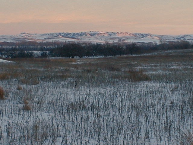 park and distant hills