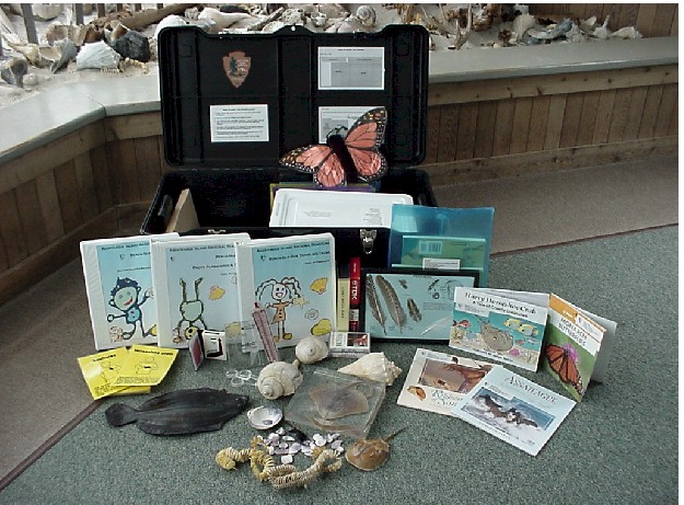 "Beach in a Box" Traveling Trunk
