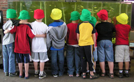 1st graders at aquarium