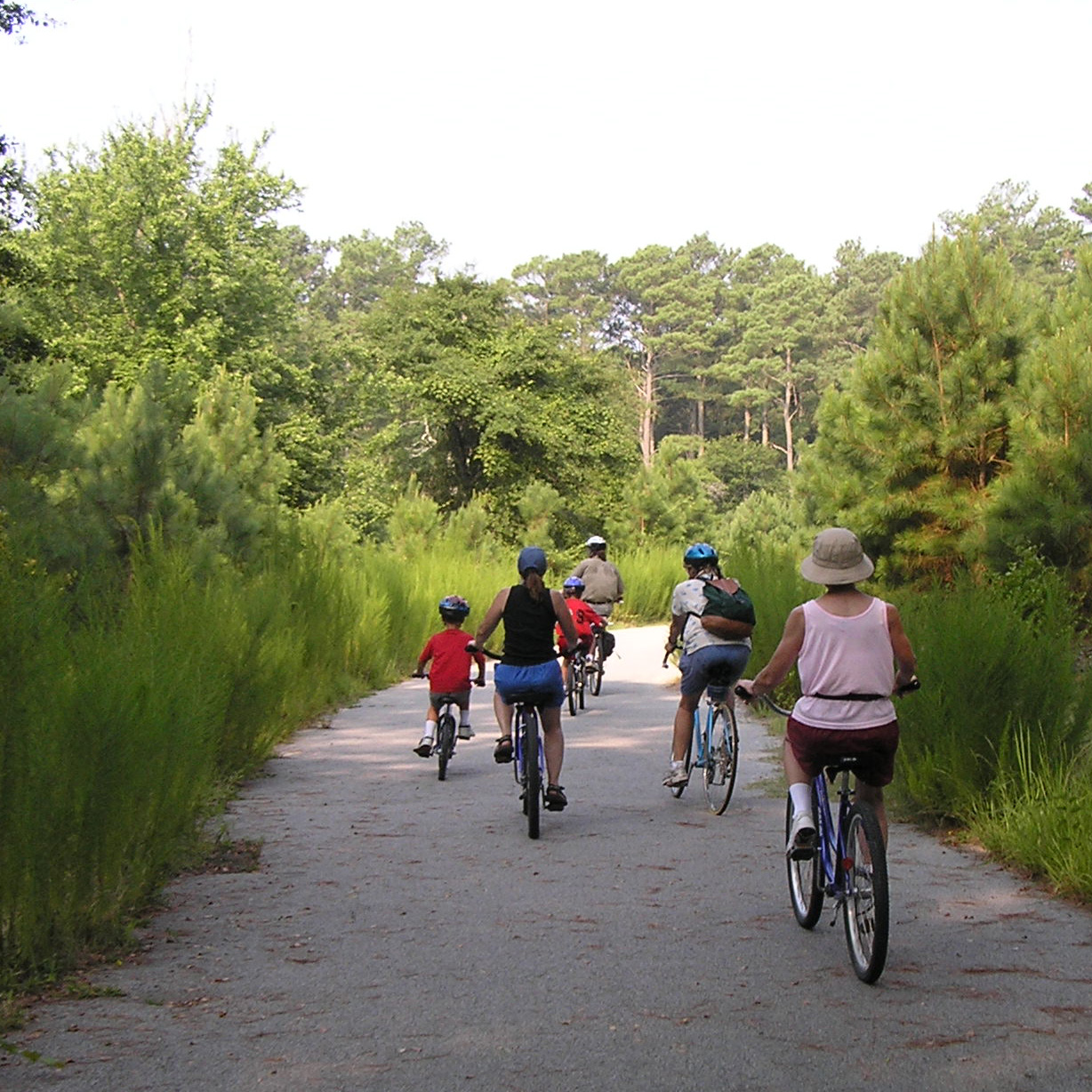 Visitors will be able to enjoy all the park's natural and cultural resources and truly be our “guests” on 3 fee-free weekends this summer. (20kb)