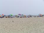 Assateague Island National Seashore beach