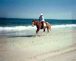 Horseback riding at Assateague.