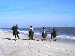 Four horseback riders.