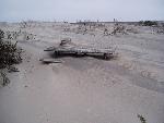 Sand covers oceanside campsite