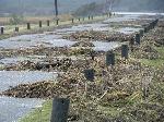 Debris on Beach Rd. after storm. Virginia District