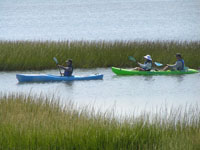 Explore Assateague on a ranger guided kayak program!