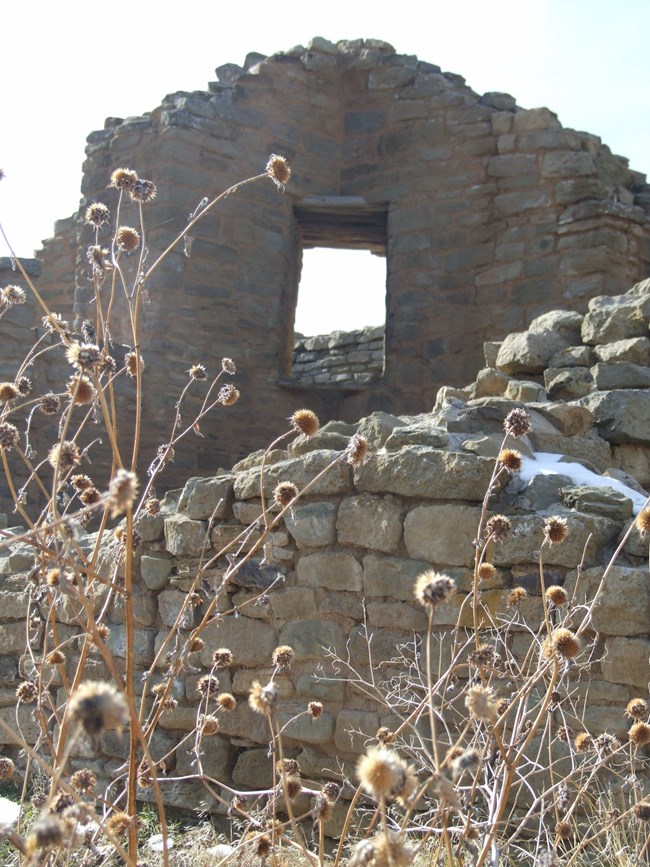 A corner doorway in the ruins wall with flowers popping up in front of it.