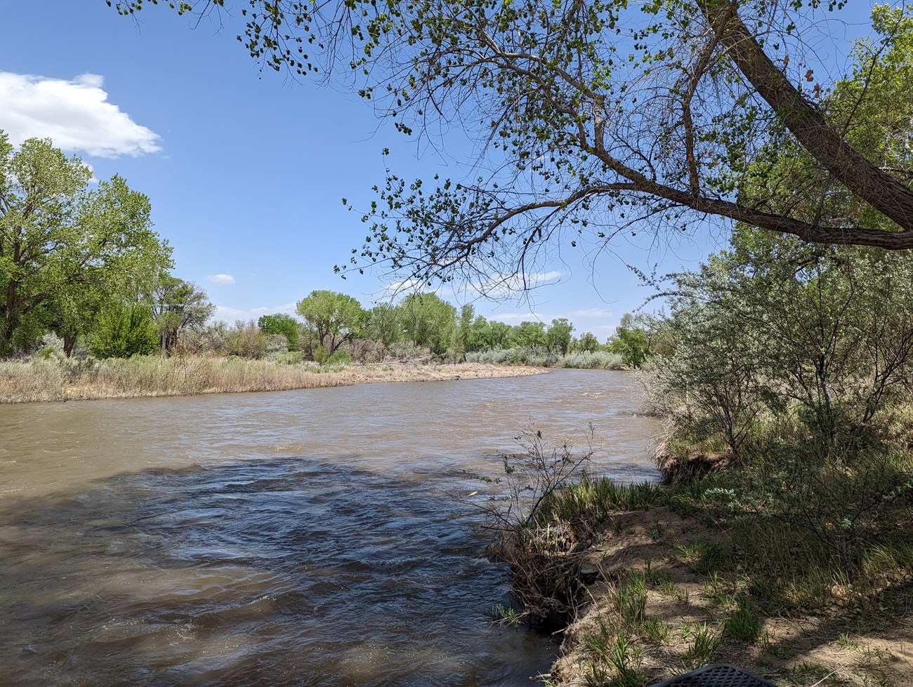 The Animas River, full of meltwater and sediment from the San Juan Mountains, as photographed in May 2022 near Aztec Ruins.