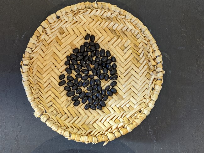 A beige wicker basket containing dried Hopi black beans.