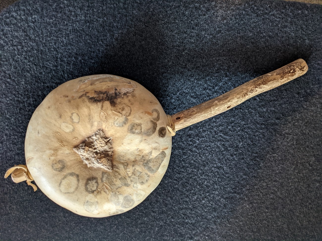 A replica of a gourd rattle like those found at Aztec Ruins.
