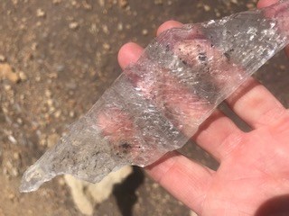 A translucent crystal of gypsum.