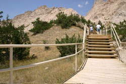 Boardwalk and stairs on the Cliff Shelf Trail