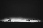 The Roundup by Jason Jilg