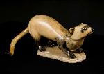Black-footed ferret