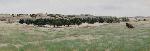 Sage Creek Basin by Harold Nelson