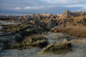 Copyright Rikk Flohr
