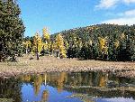Elk Pond in Autumn