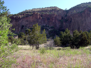 Main Loop Trail Stop 2